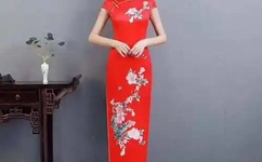 巅峰赘婿林子铭